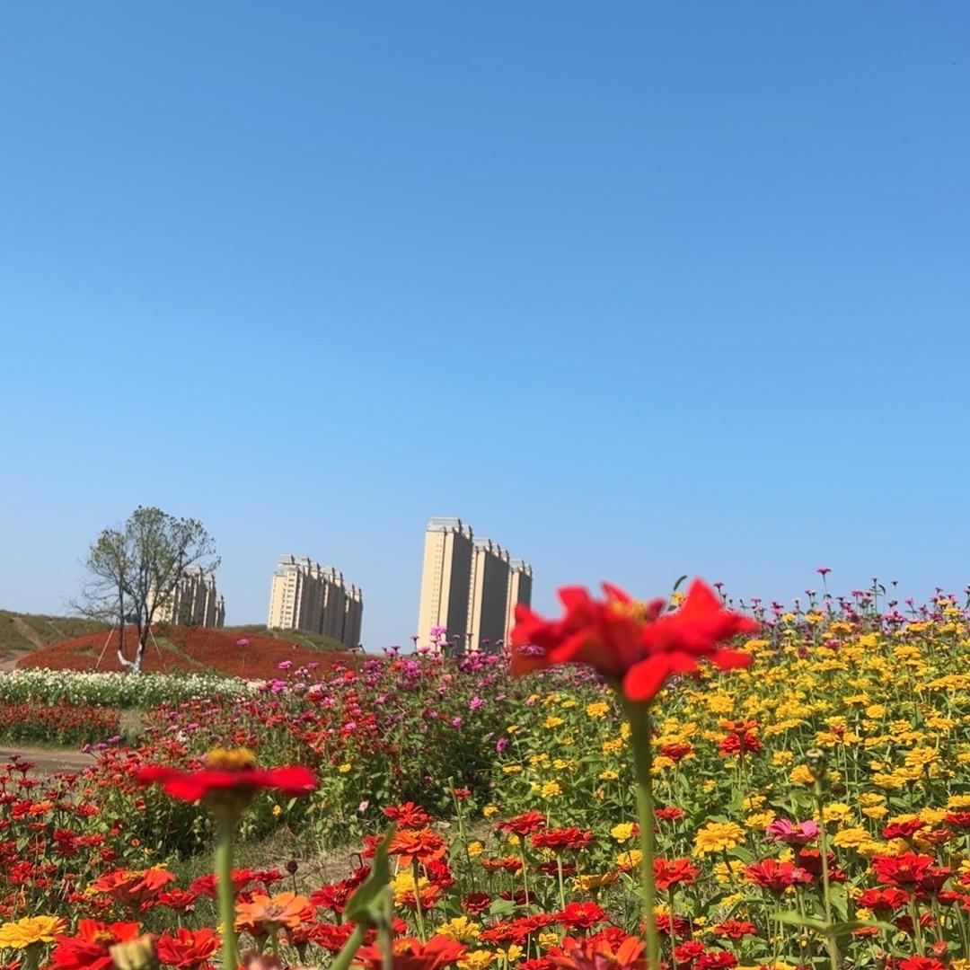 木遇榫（橱窗里有好货分享）