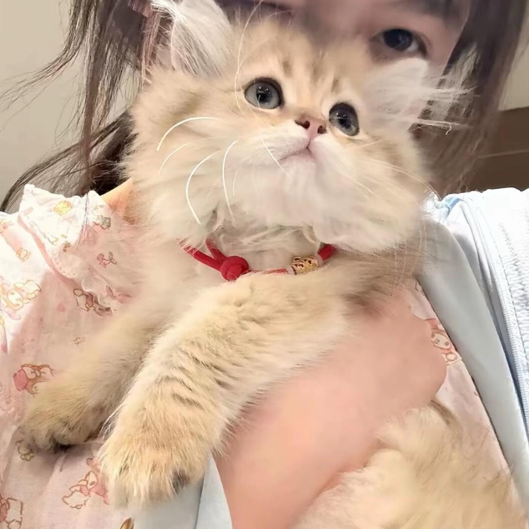 梵莎盈江店 美甲师小玉