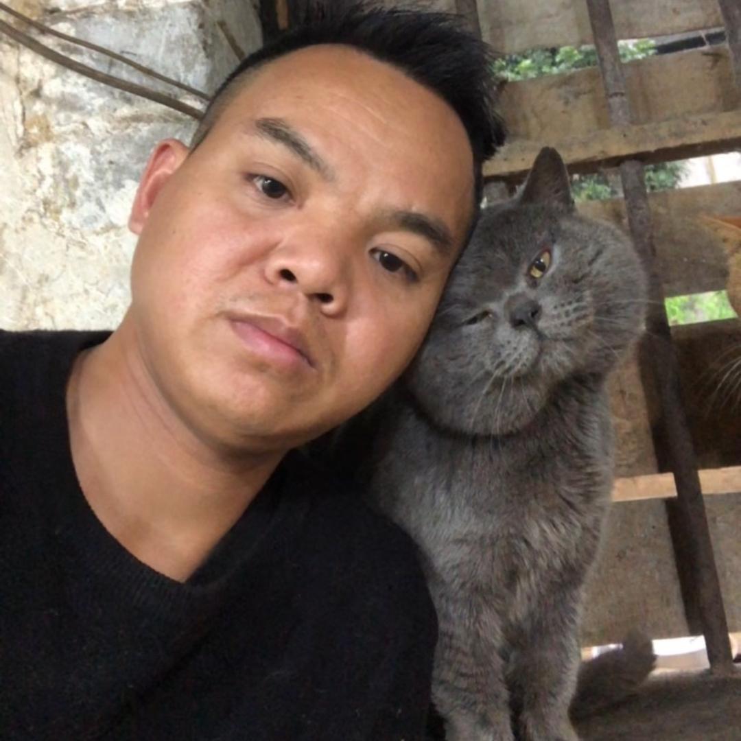 单身狗和流浪猫