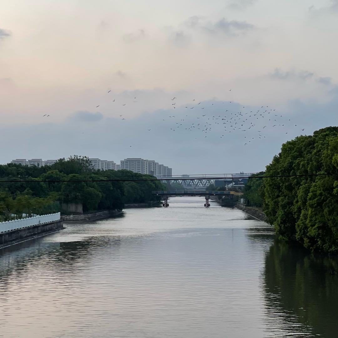 校园食品安全监管平台