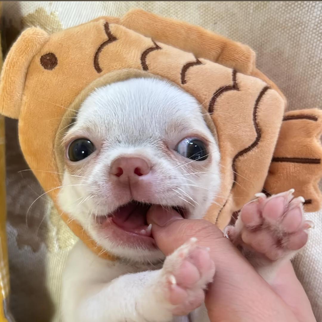 🧃好果汁！