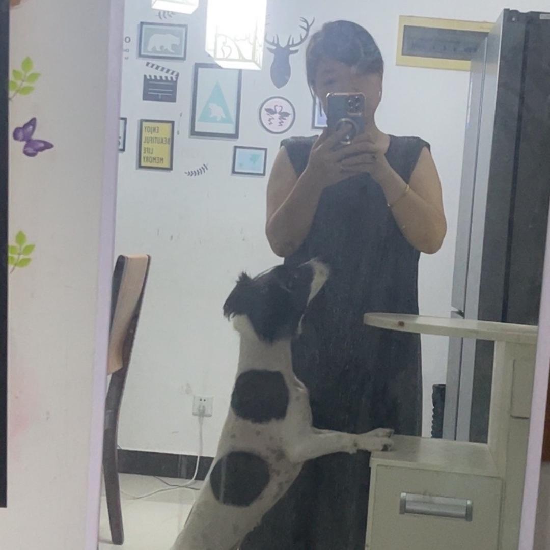 范王府的顾娜娜