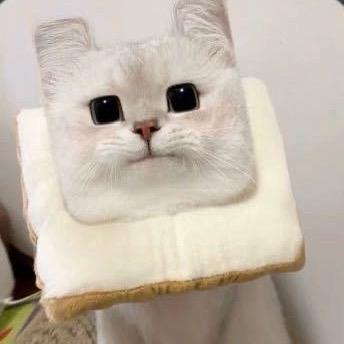 小瓜瓜