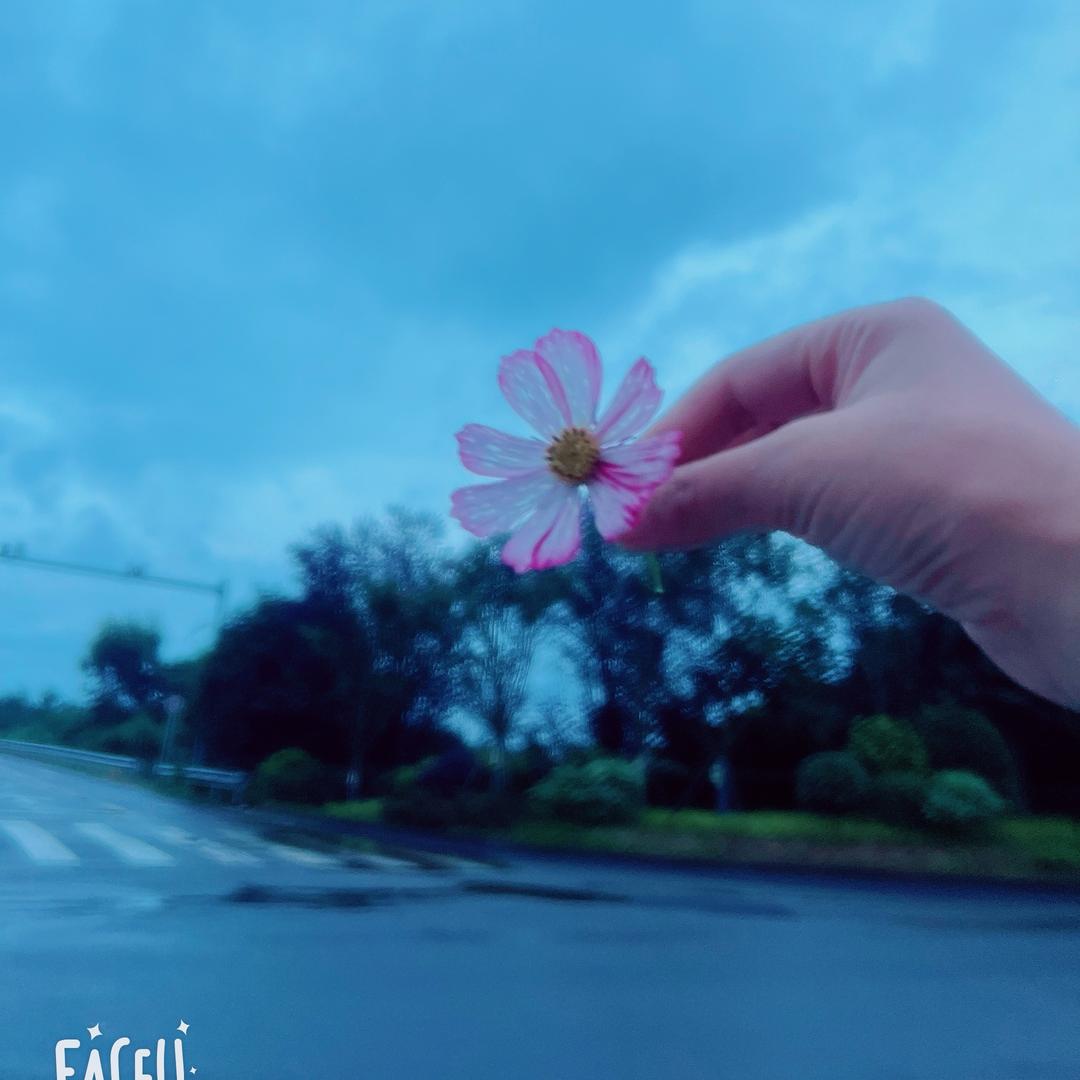 我的魏来不是梦