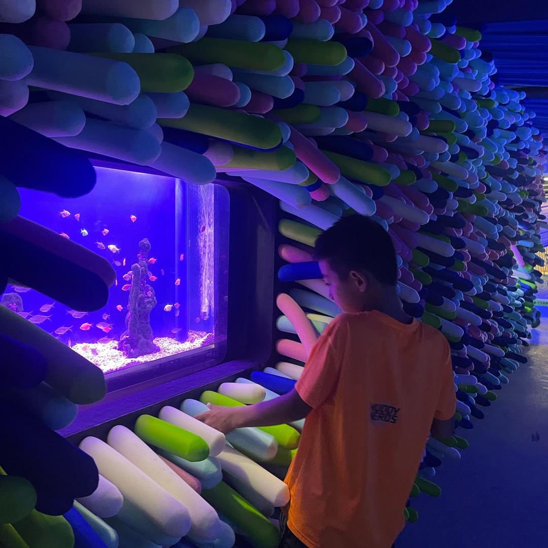 黑珍珠🚴‍♂️🚴‍♀️🚴