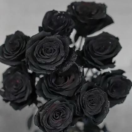黑色玫瑰花