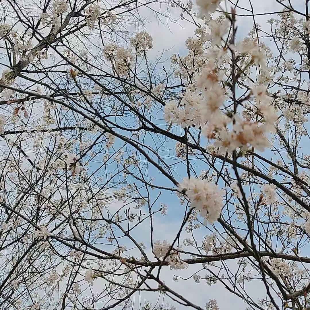 请叫我粥粥