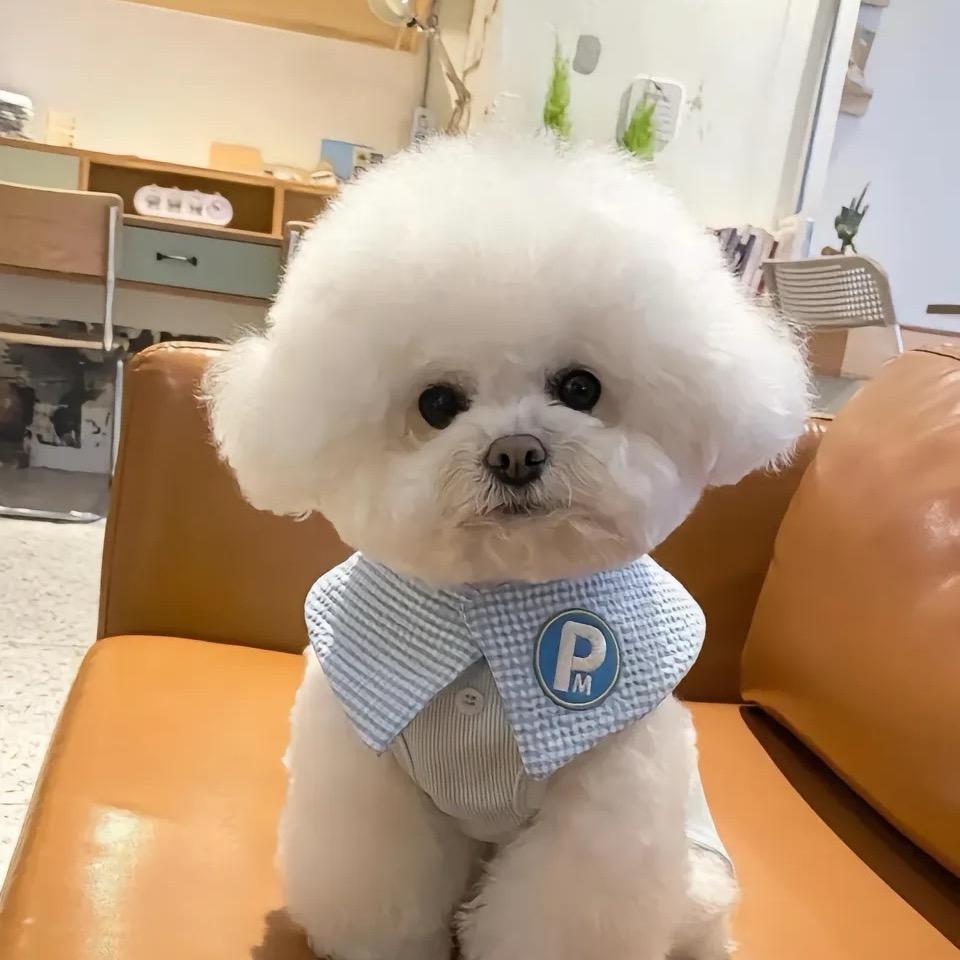 欢欢吃的饱