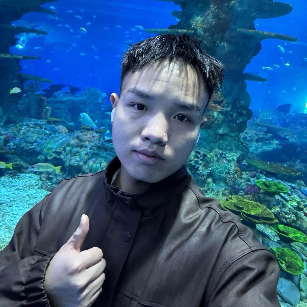 浅竹
