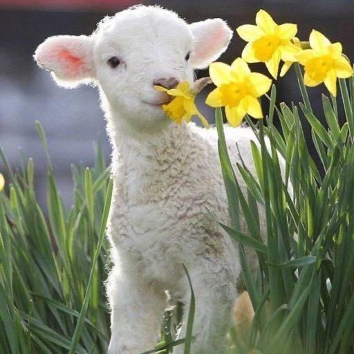 也无风雨也无晴