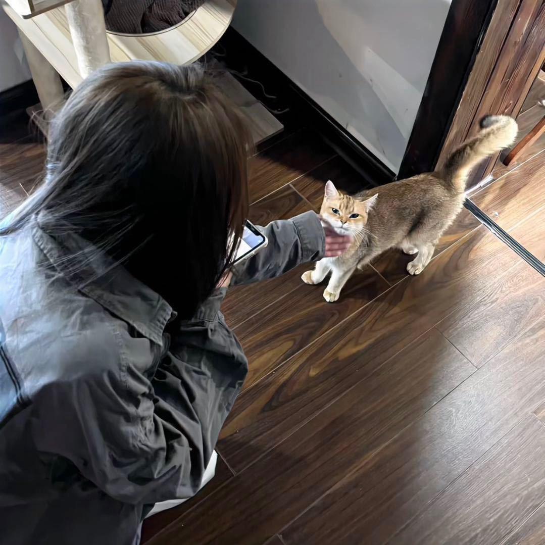 十一