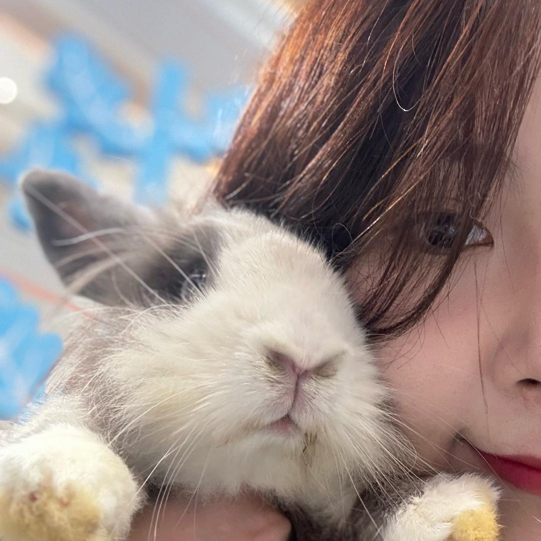 好耶（兔兔3.0版）