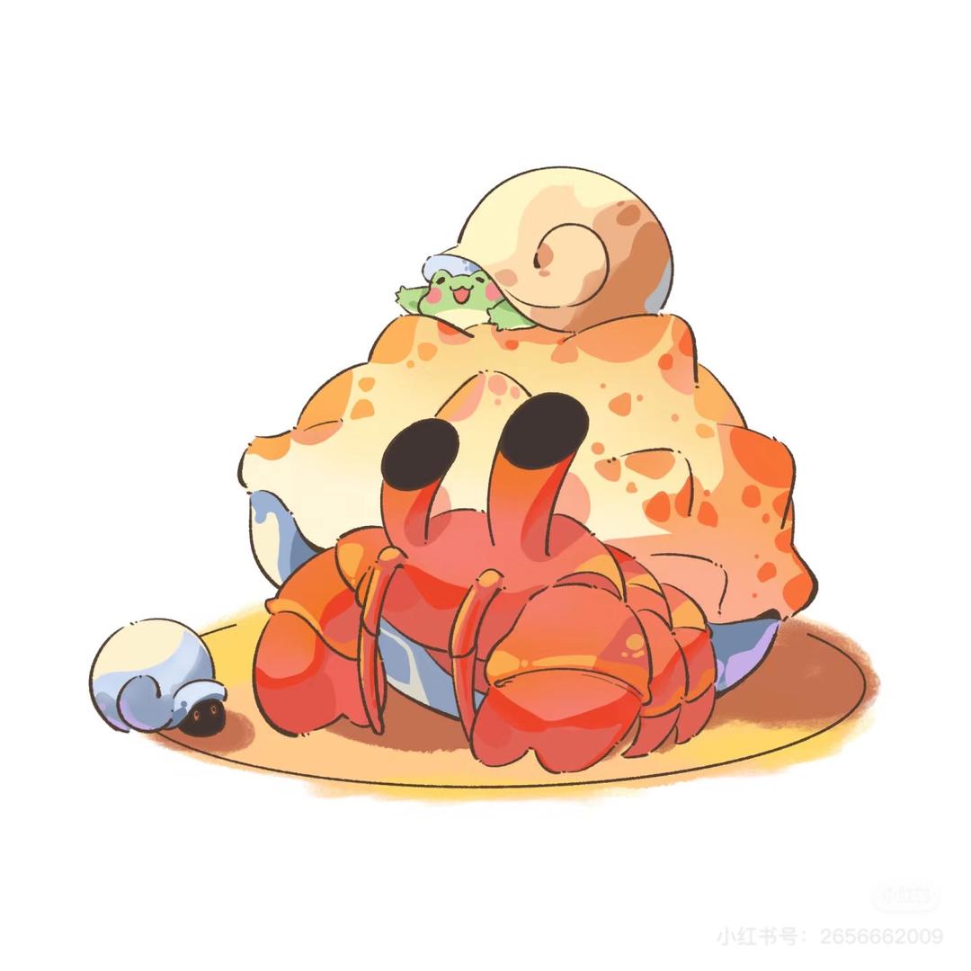 牛牛寄居蟹（金娃娃小六角）