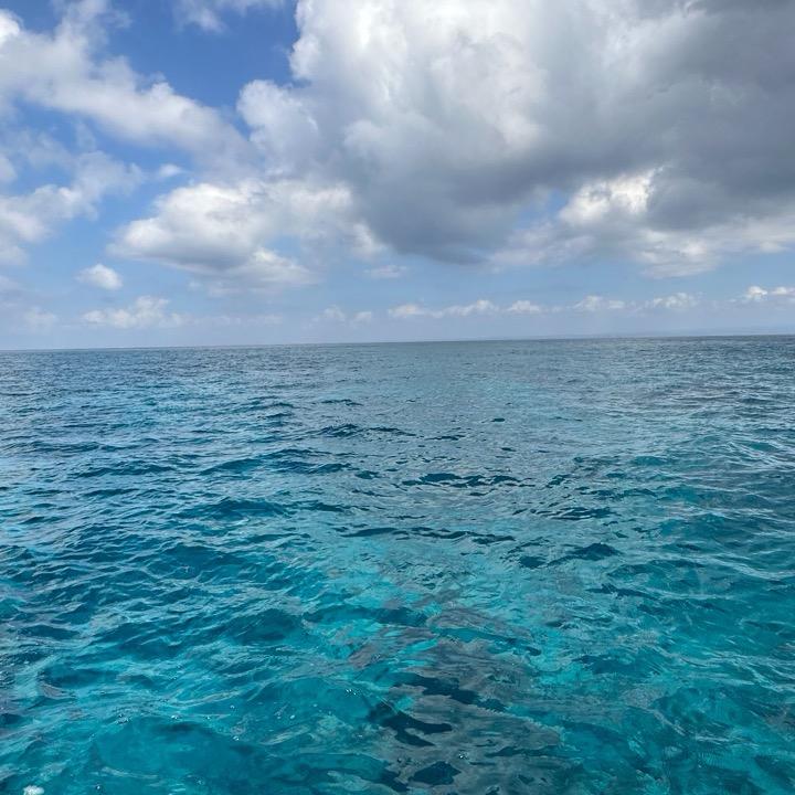 海阔天高