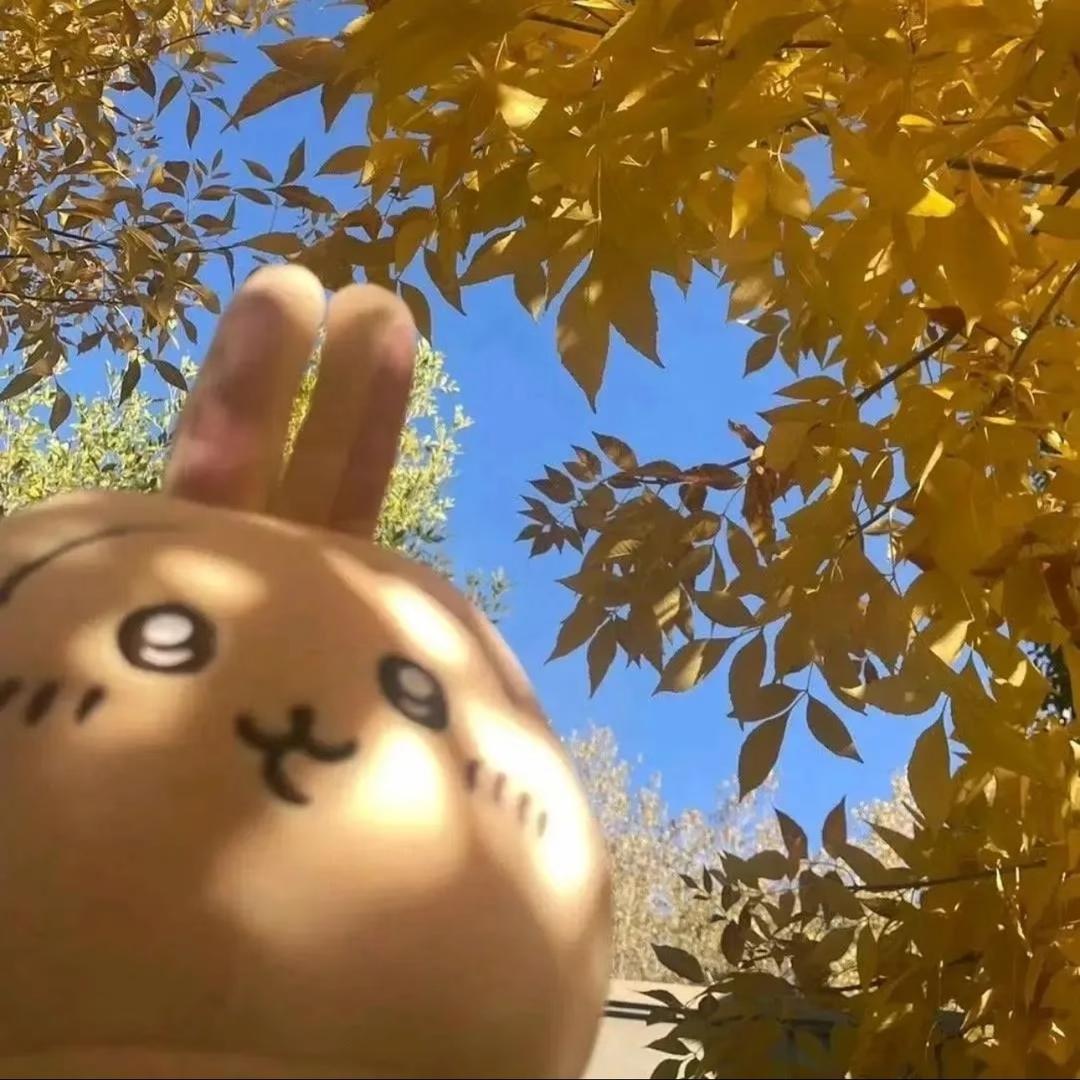 懒