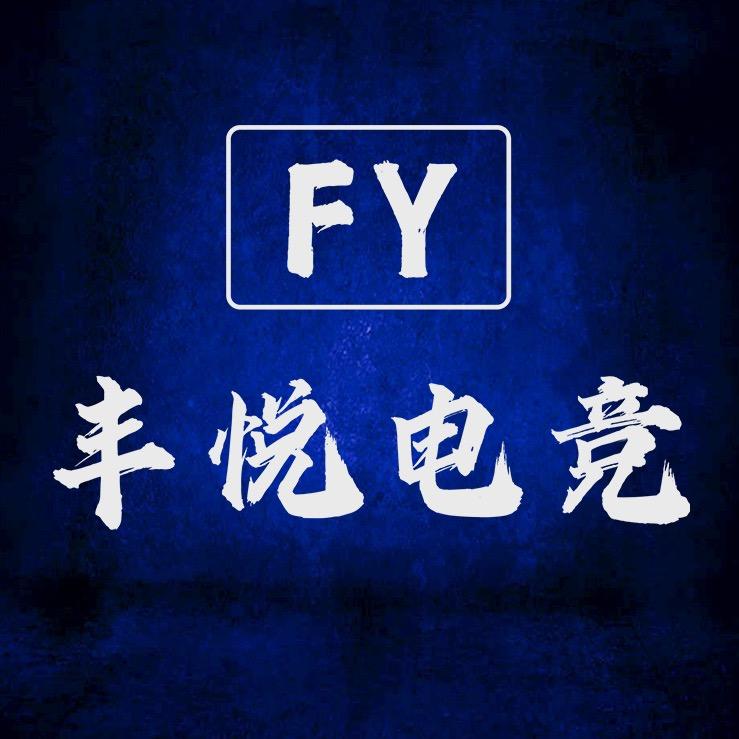 丰悦电竞