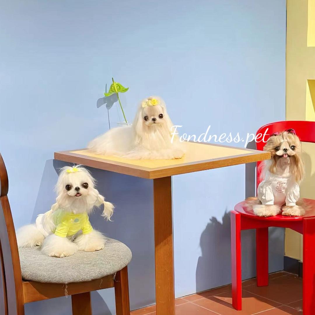 Fondness.pet偏爱宠物生活馆