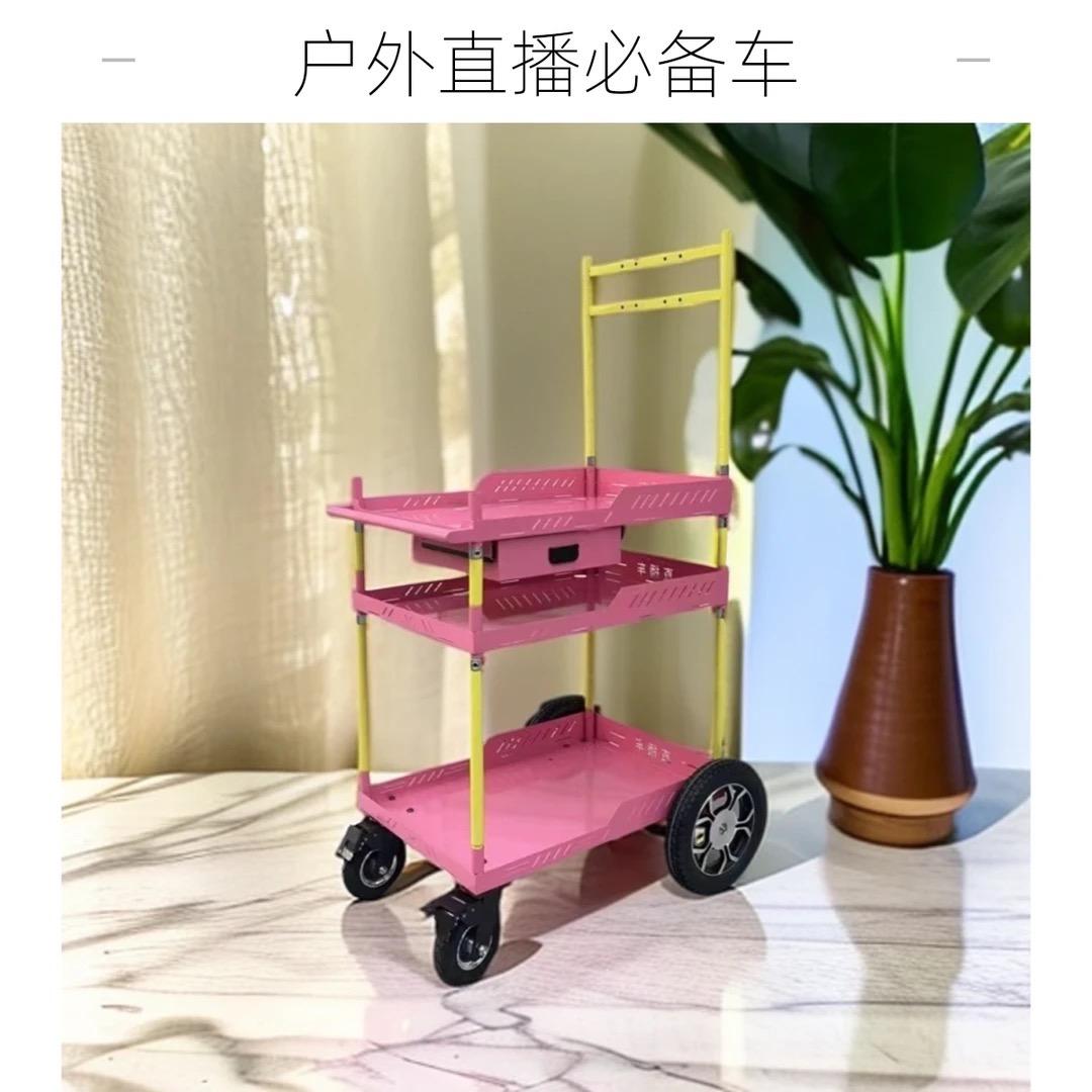 哈哈歌(自动跟随直播车 手推直播车)