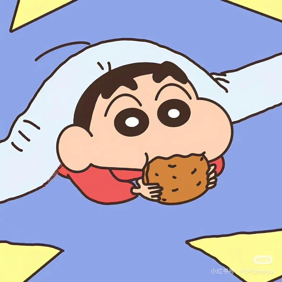 煤球的测评日记