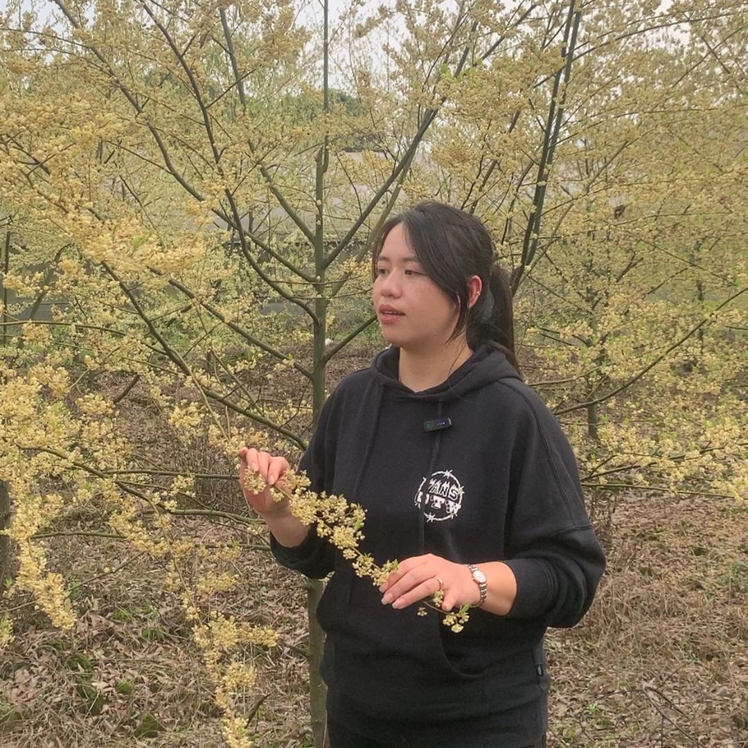 藤禾农业小敏说药材