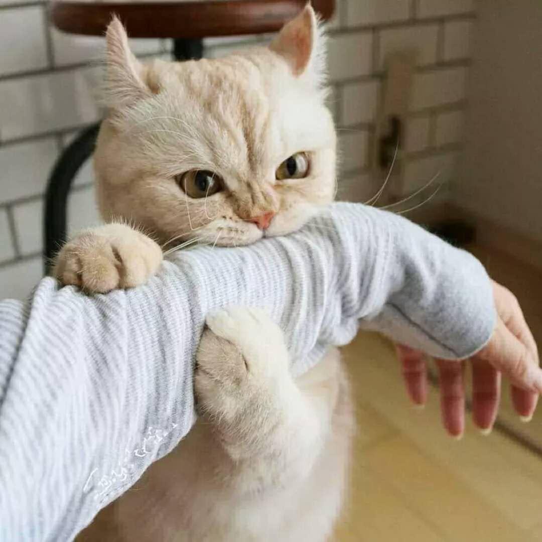 1033