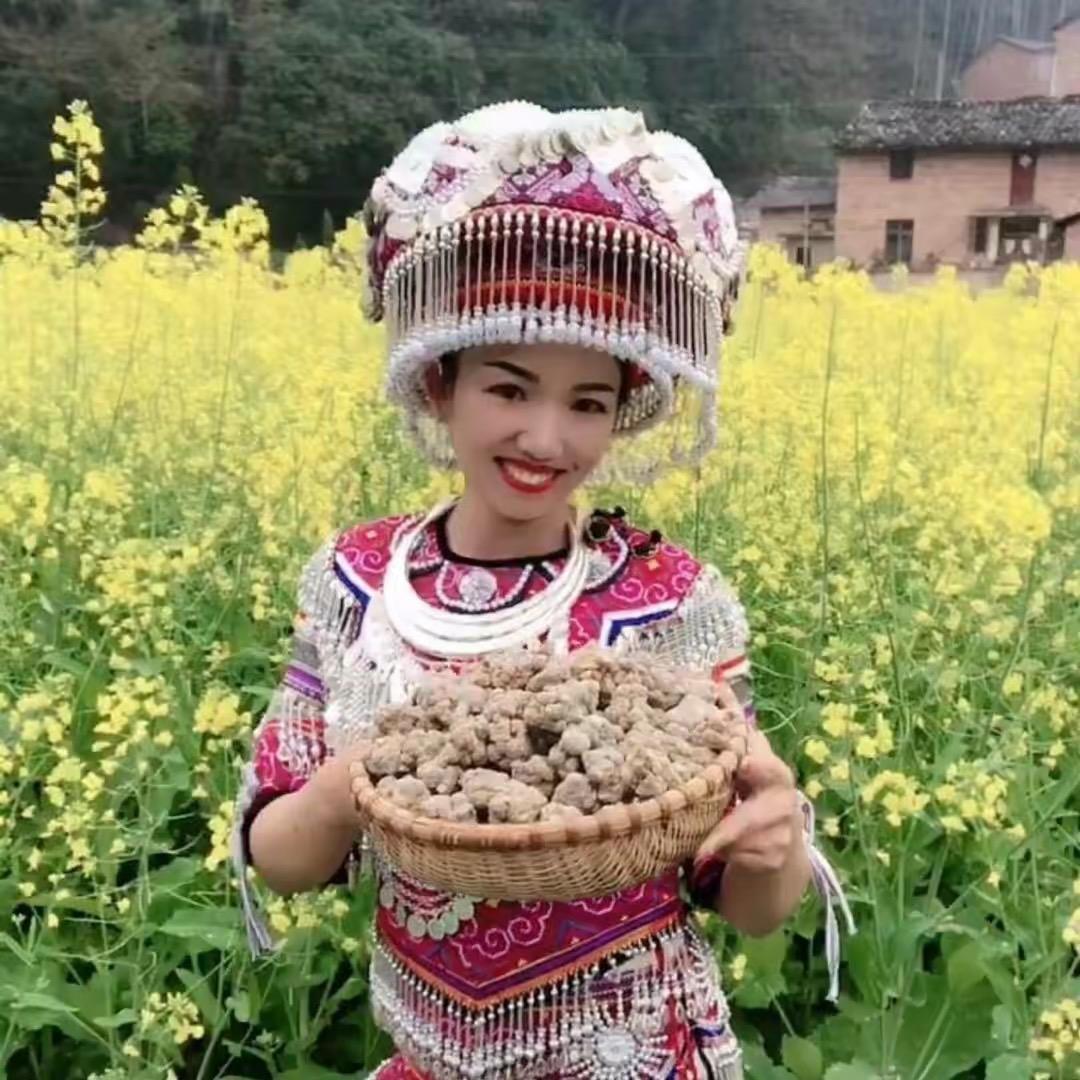 文灵康绿植旗舰店