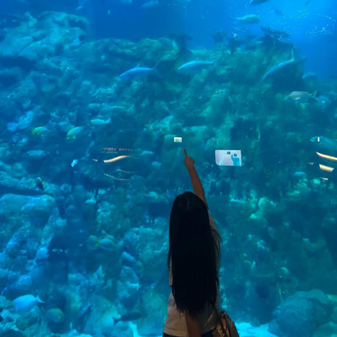 ^鱿鱼^.🐬