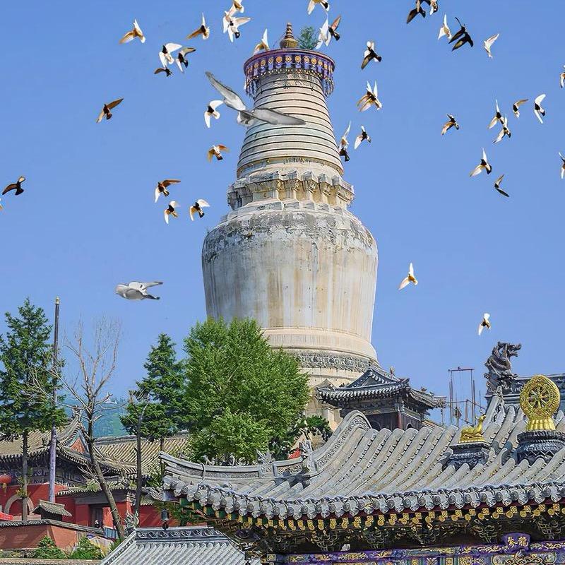 五台山旅游咨询服务