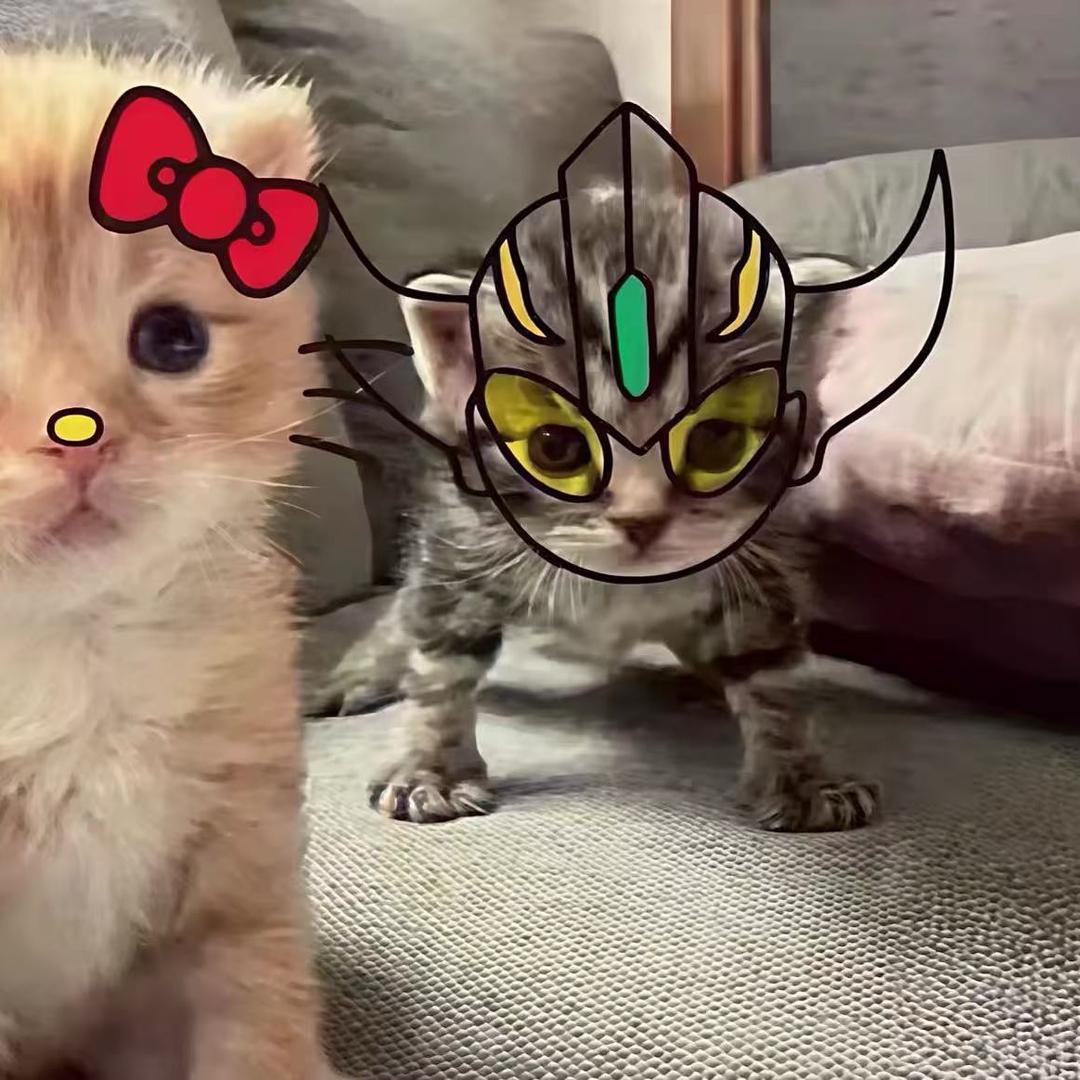 再也不熬夜了💤