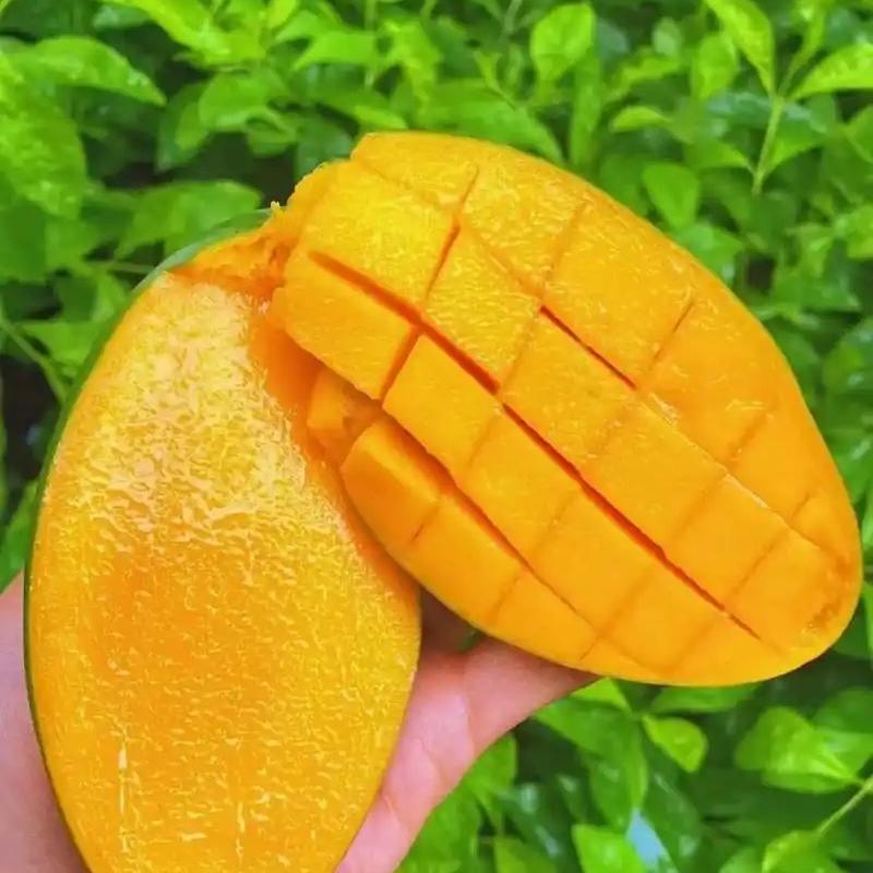 品诚果鲜坊2号