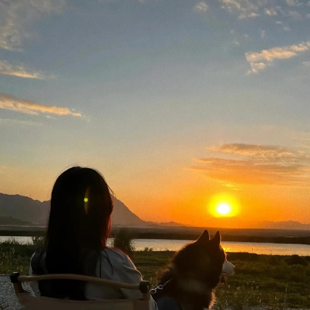鱼淑芬