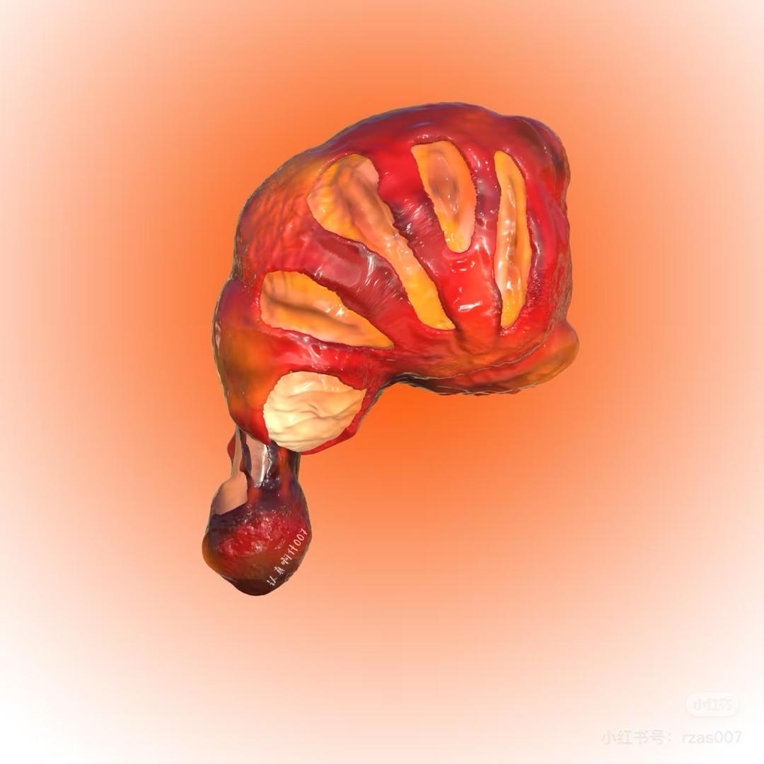 狂傲的鸡腿战士