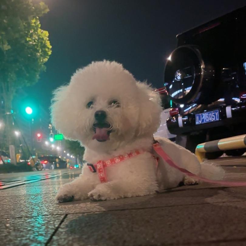 佩佩💕