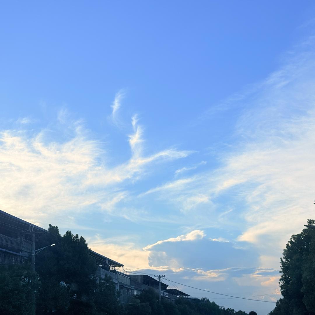 没名字