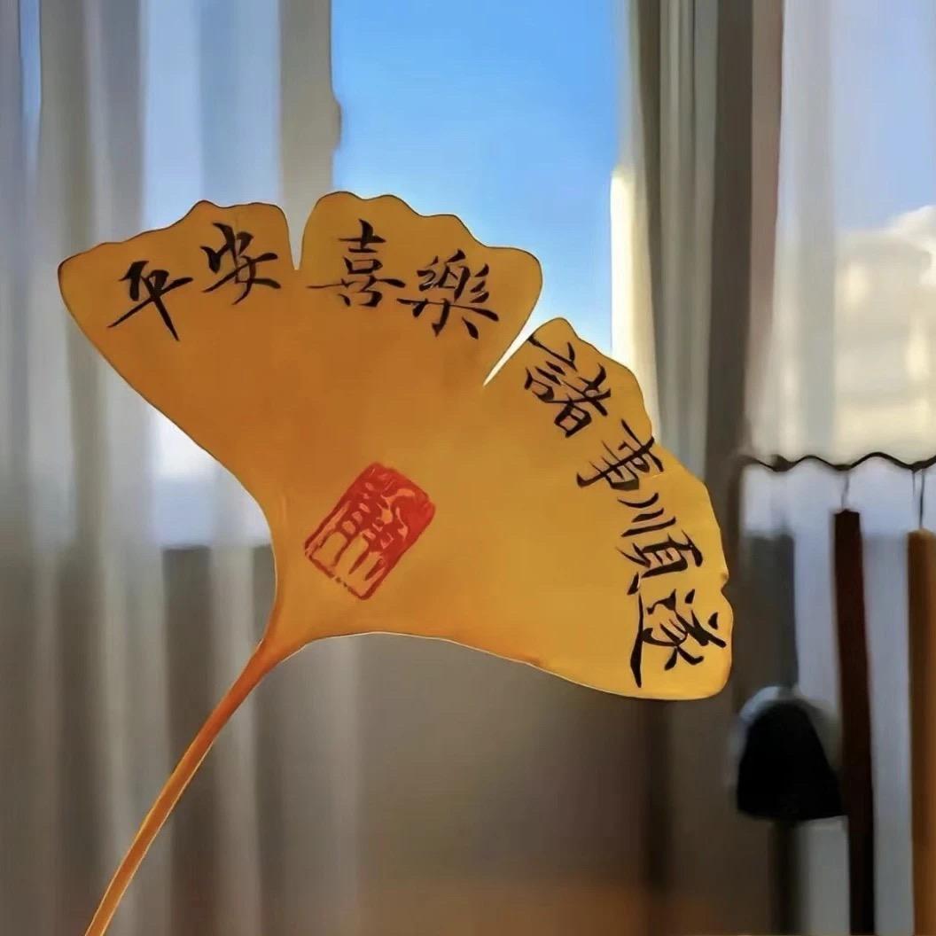 郑州初升高指南