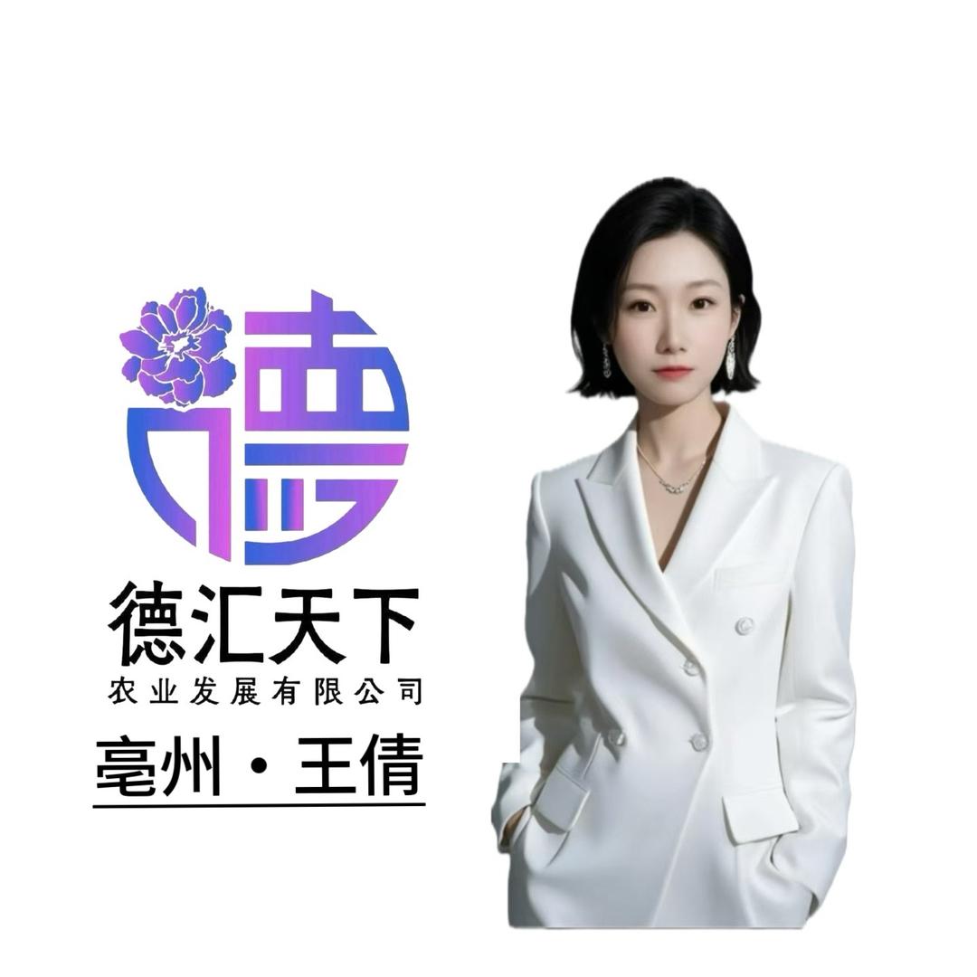 德汇天下  王倩2