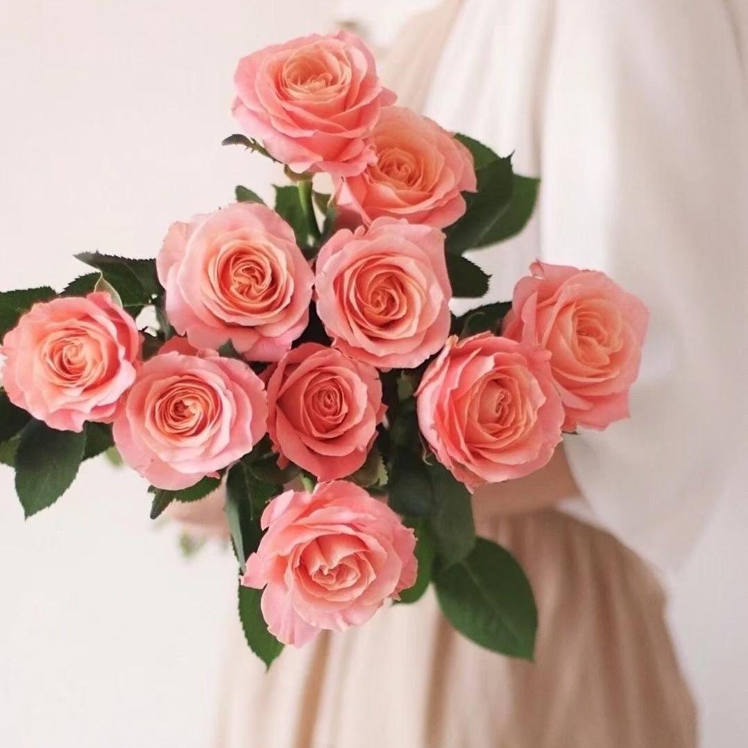 🌸花姐姐HJJ🌸