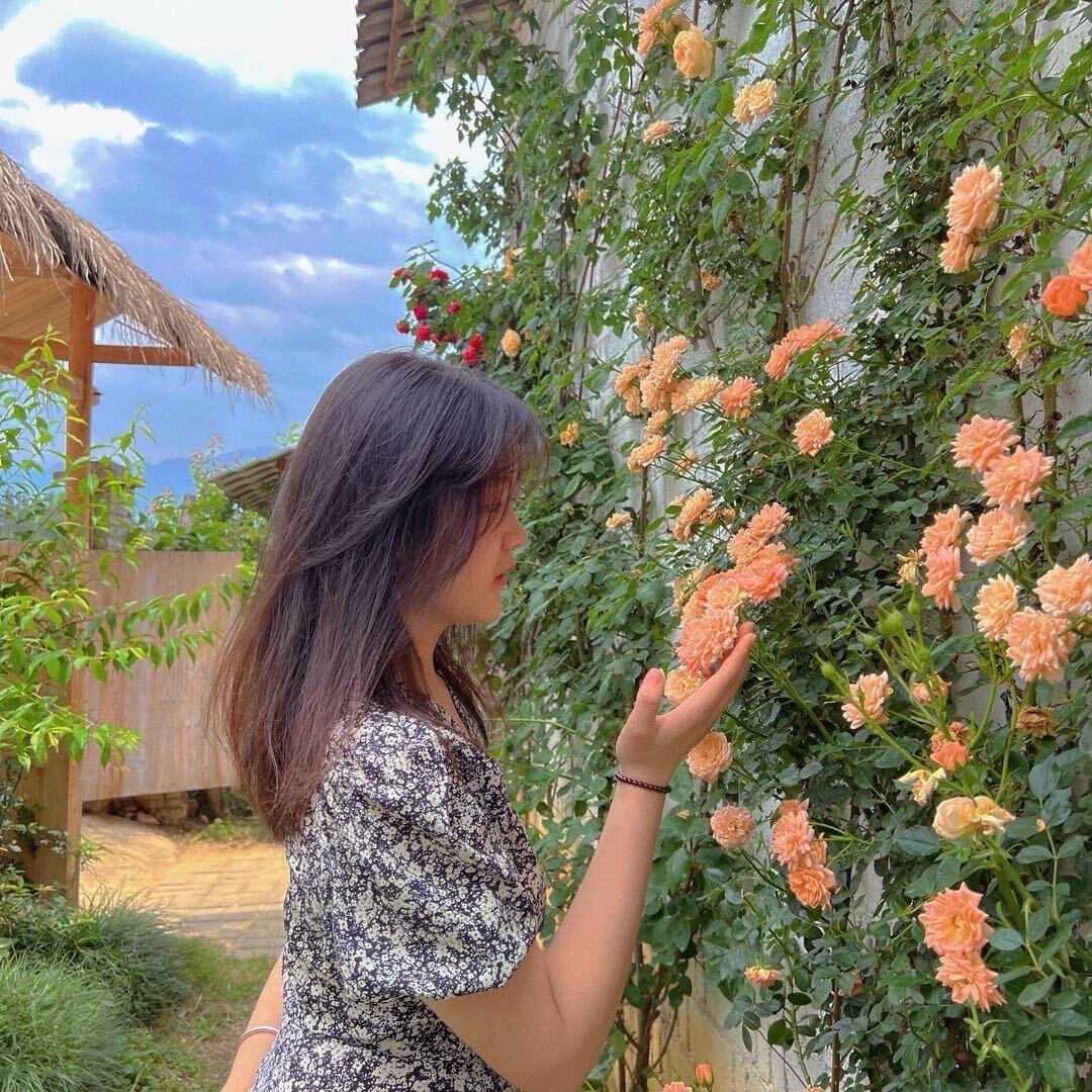 鄧佳佳🌼