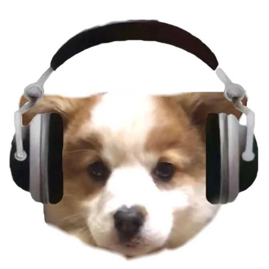 卿溯