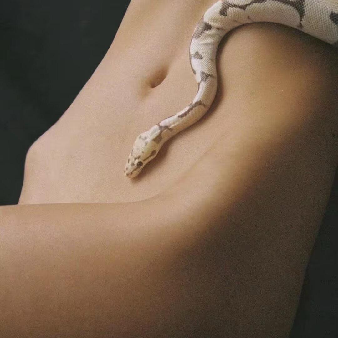 肥小肥