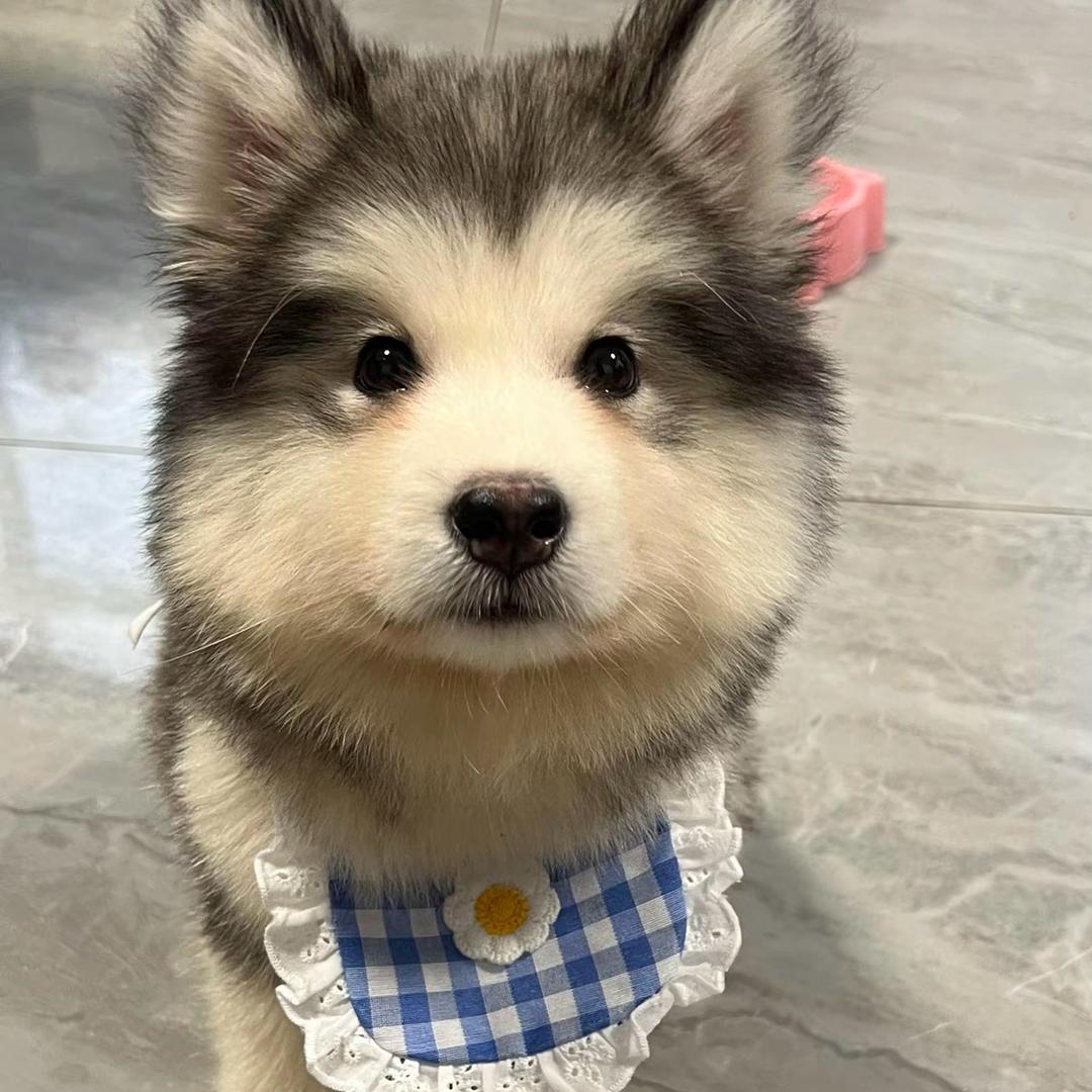 嘟嘟 ~\(≧▽≦)/~啦啦啦