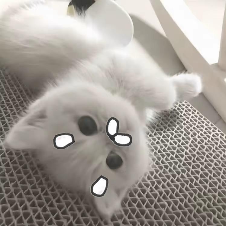 Felix