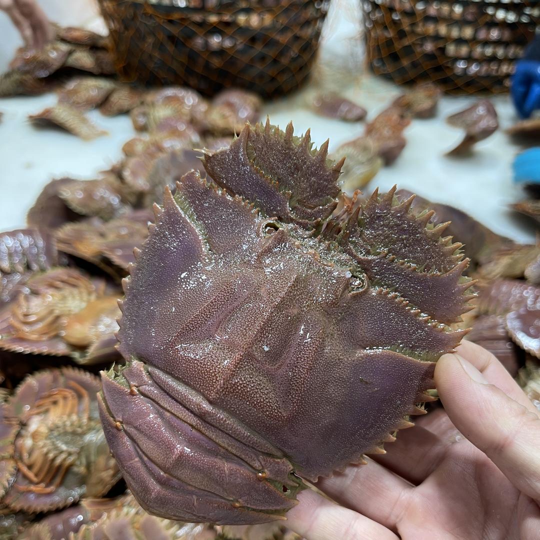 痴个鲜海产品优选