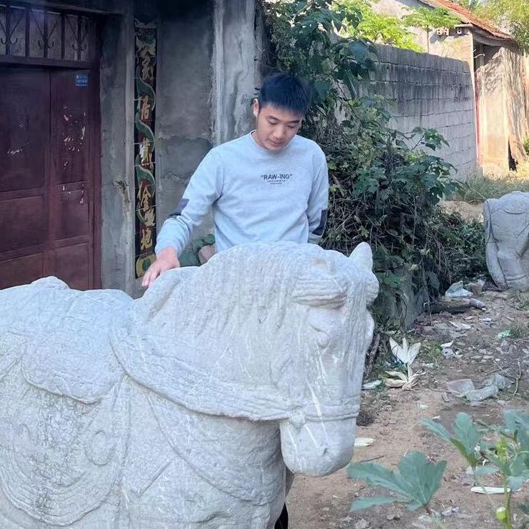 子文寻宝