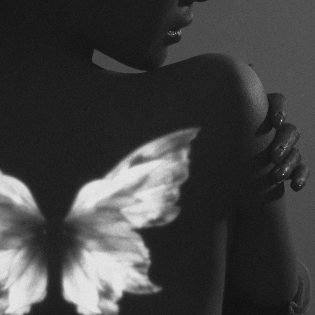 卡卡🦋