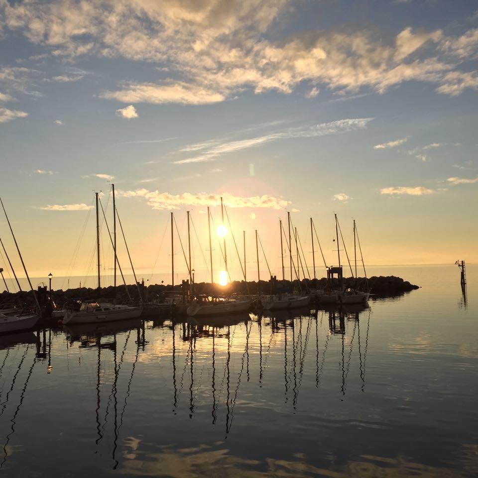 我好像喝了假青啤👅