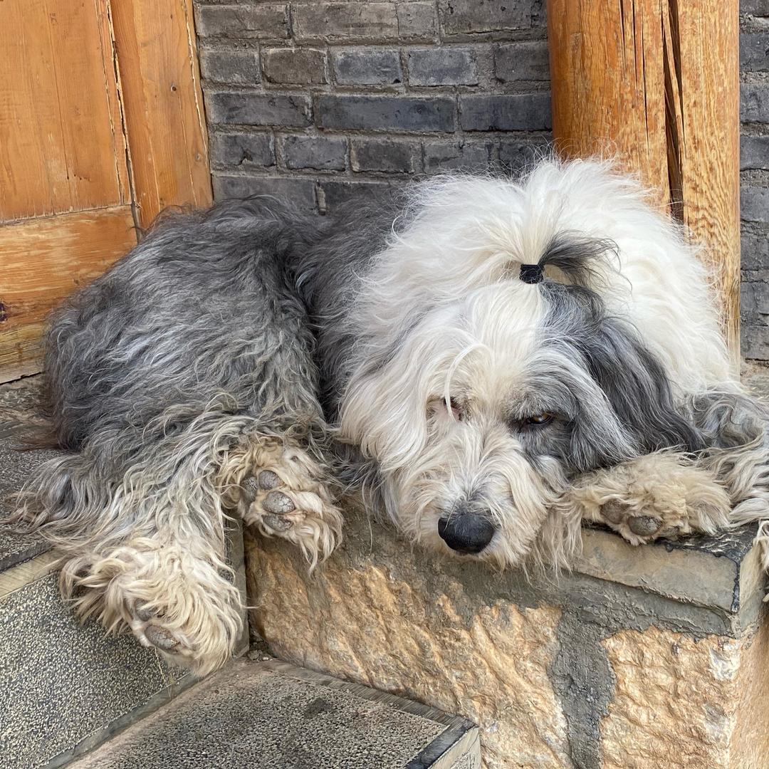 我是你姑奶奶👵