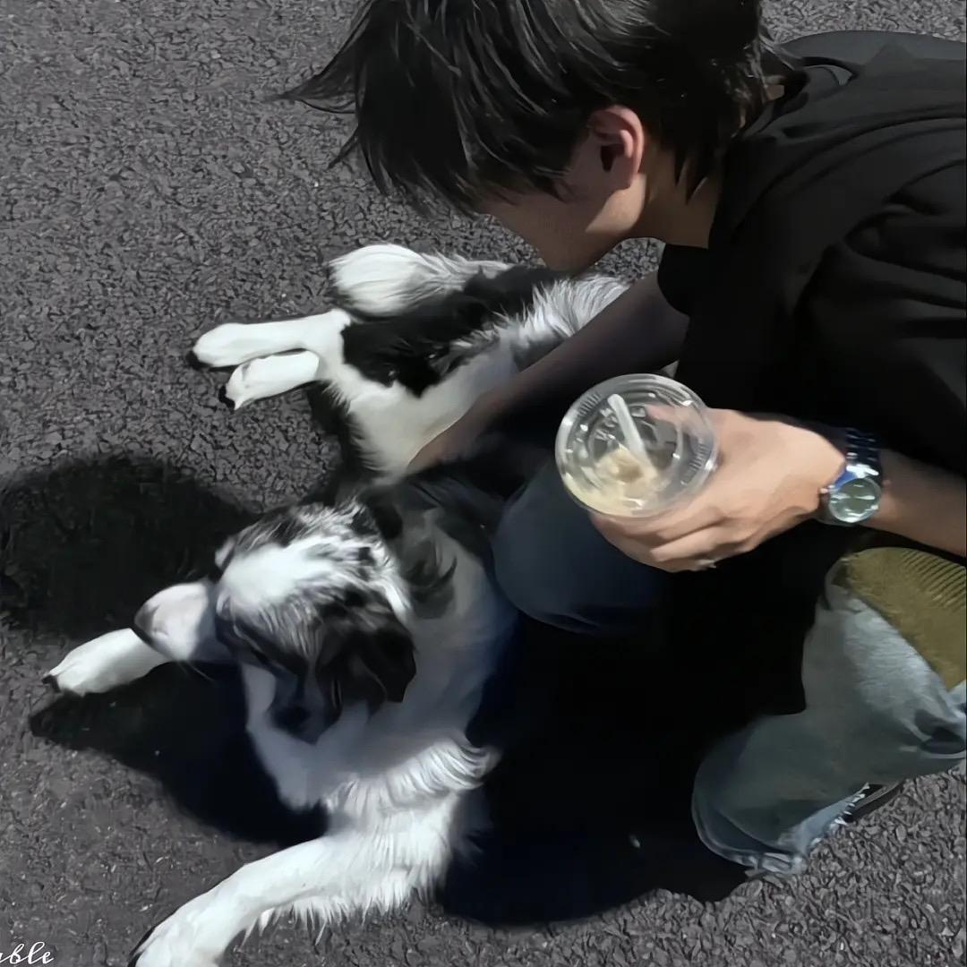 芝士年糕🍟