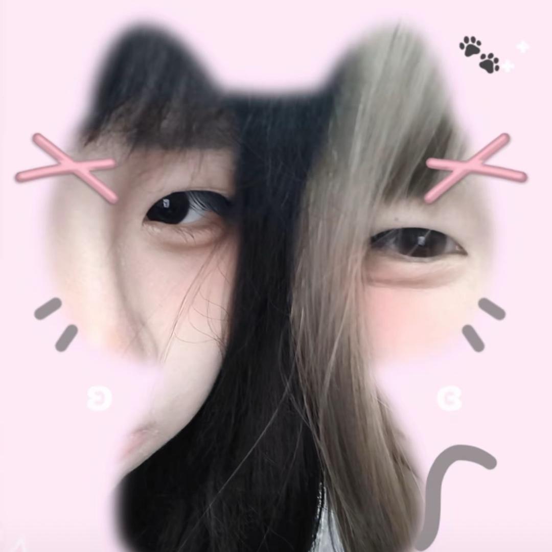开鑫鑫鑫