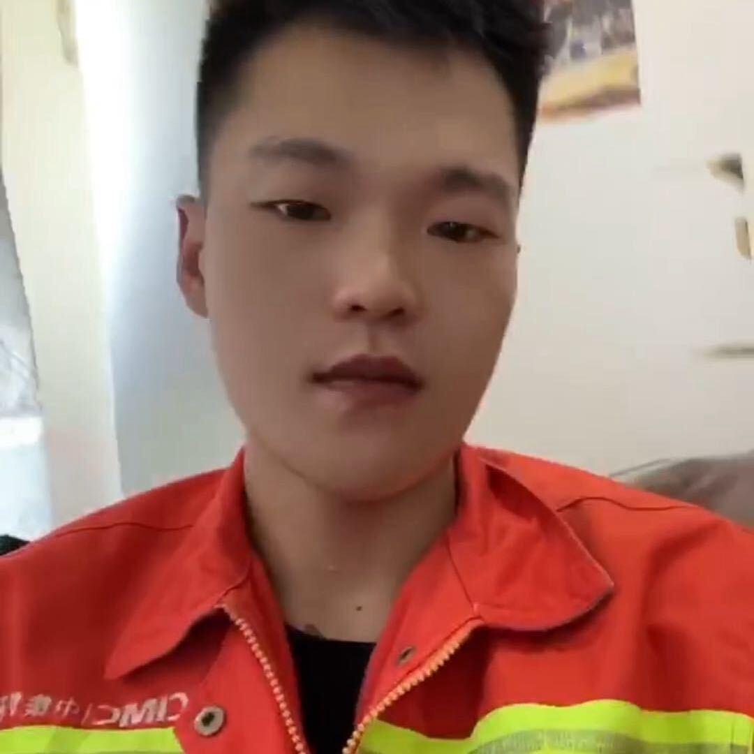 中集小蚂蚁
